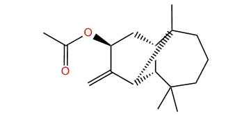 (-)-4-epi-Marsupellyl acetate